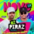 Oz Piraz Paulinho e Pedrinho