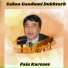 Faiz Karezee