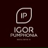 Igor Pumphonia feat. EVVA Music