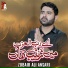 Zubair Ali Ansari