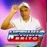 netinho brito