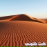 محمد السعيطي