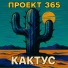 Проект 365