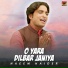 Naeem Haider