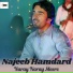 Najeeb Hamdard