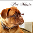 Pet Music World