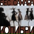 Колибри
