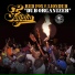 Faysha, Red Fox, Liondub