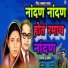 Ashok Koli