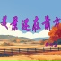郑向真