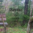 Bavius