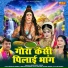 Swastika Mishra, Brijesh Sorkha