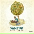 Sedat Anar
