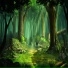 Silent Forest