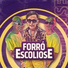 Forró Escoliose