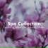 Massage Therapy Music & Pure Massage Music