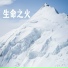 施飞光