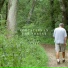 Footsteps in the Forest