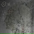 Nous Alpha, Gareth Jones, Christopher Bono