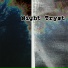 Night Tryst