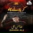 Zamin Ali