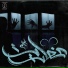 Yaseen El-Shaer