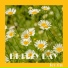 Joy On