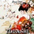 Todashi
