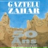 Chorale gaztelu zahar