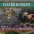 David Robles