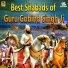 Bhai Ranjit Singh