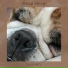 Deep Sleep