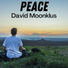 David Moonklus