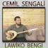 Cemil Şengali