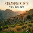 Stranen Kurdi