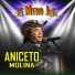 Aniceto Molina