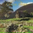 Traditional Airs for the Celtic Harp and Fiddle