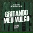 MC VN Cria, MC BF, DJ Silvério