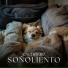 Música para Mascotas