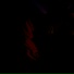 Brightdre
