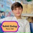 Naseer Zaib