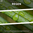 Regen Sounds, Regengeräusche, Schlafmusik