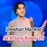 Zeeshan Marwat