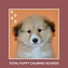 Calm My Dog