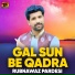 Rubnawaz Pardesi