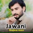 Maqbool Aseer