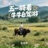 张佳伊