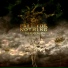 Prey For Nothing