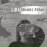 Liriz