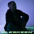 BLESKEEN